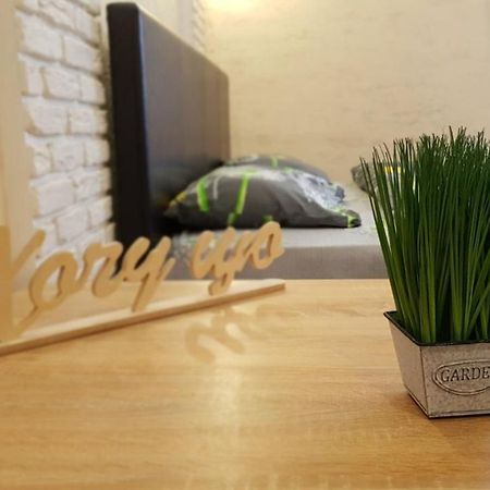 New Luxury Studio Apartment 伊万诺-弗兰科夫斯克 外观 照片
